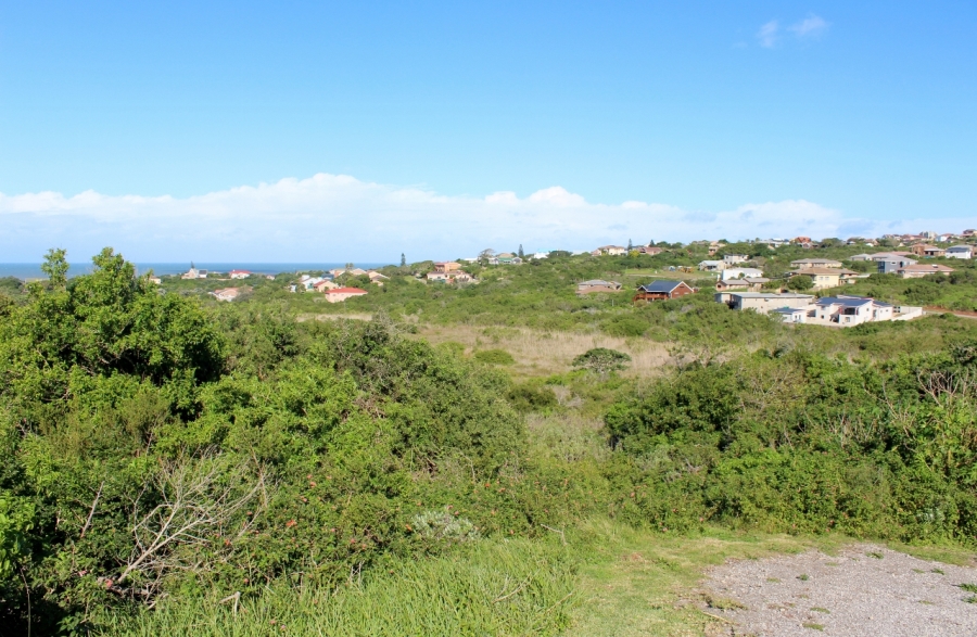 0 Bedroom Property for Sale in Forest Downs Eastern Cape